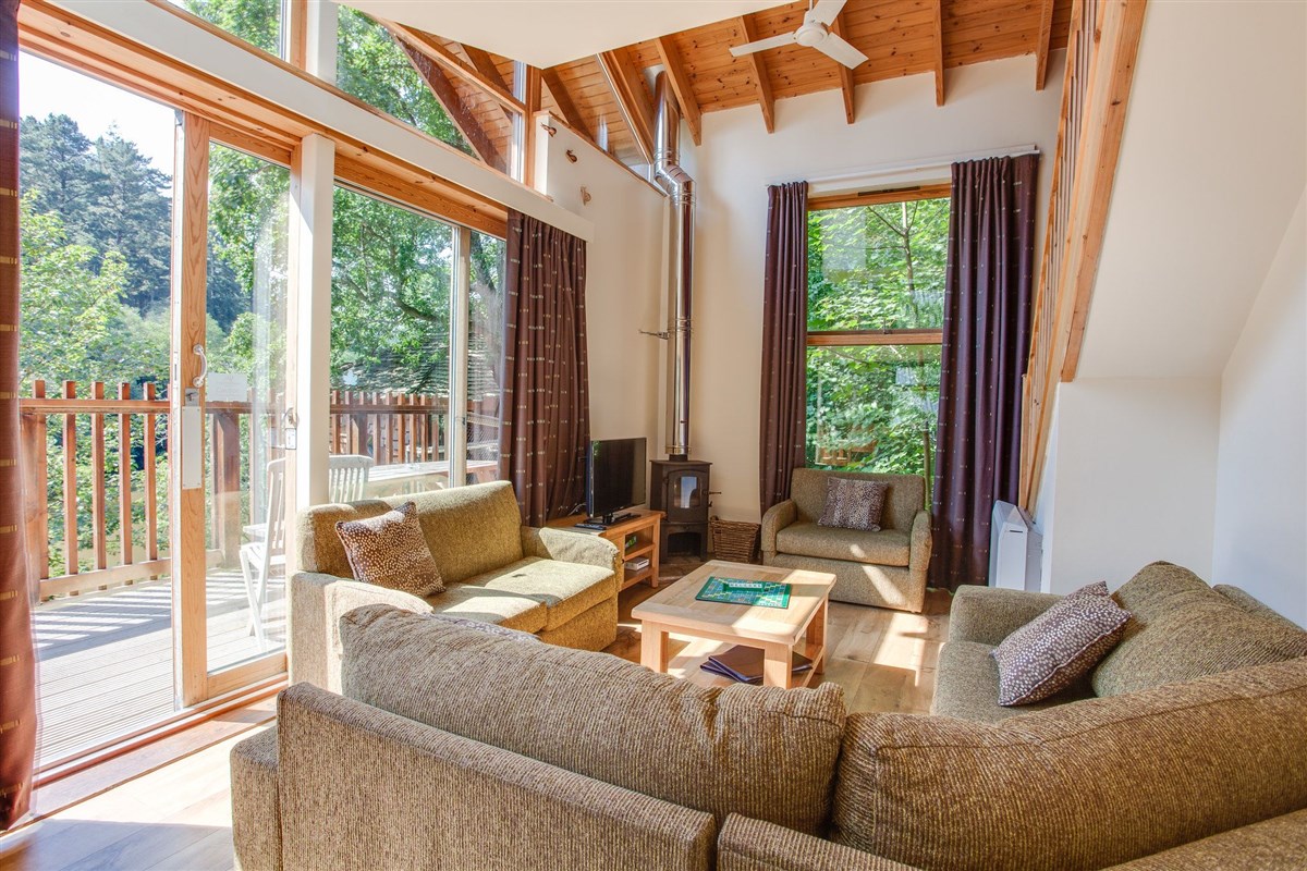Treehouse Breaks at Forest Holidays, Deerpark