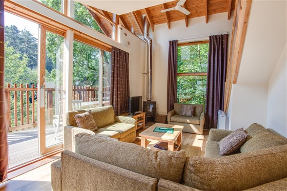 Treehouse Breaks at Forest Holidays, Deerpark
