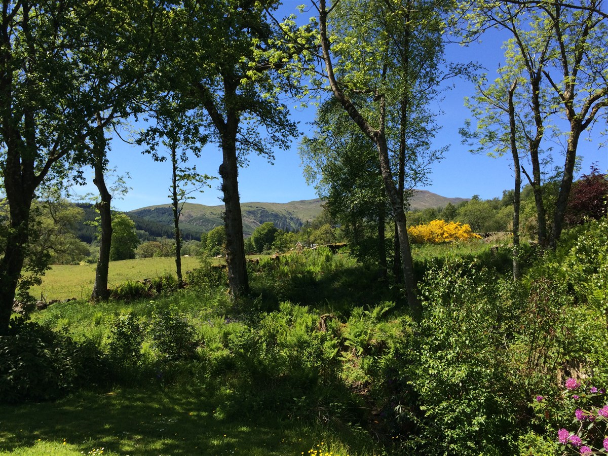 Cottage View