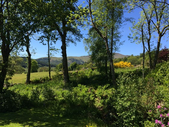 Cottage View