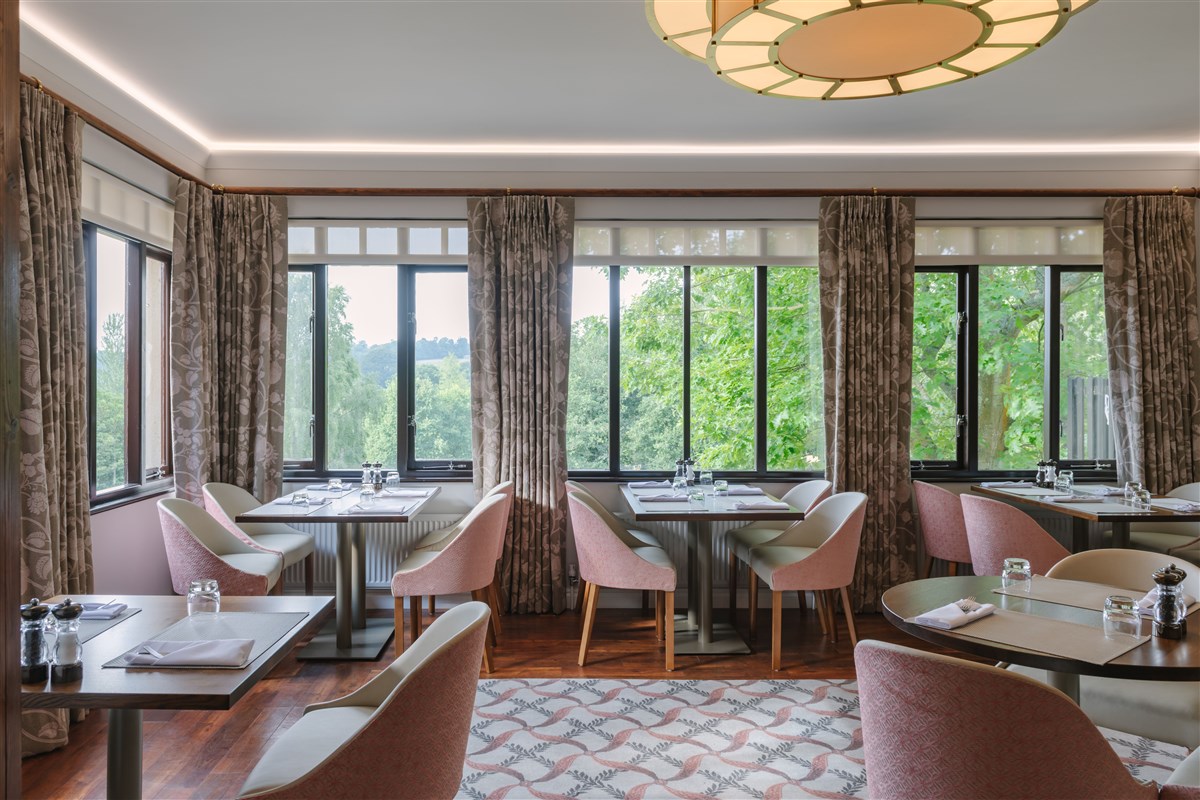 Forest Brasserie