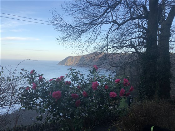 从停车场看林茅斯湾