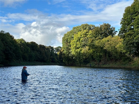 Looking Downstream at Carnaquin, Beat 1 on The River Mourne