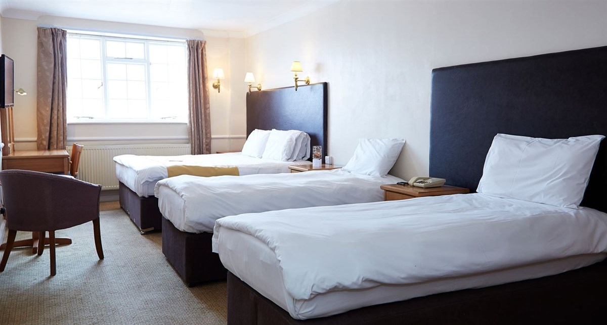 Bear Hotel