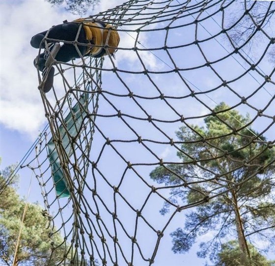 Go Ape