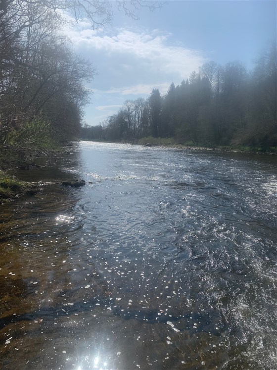 River