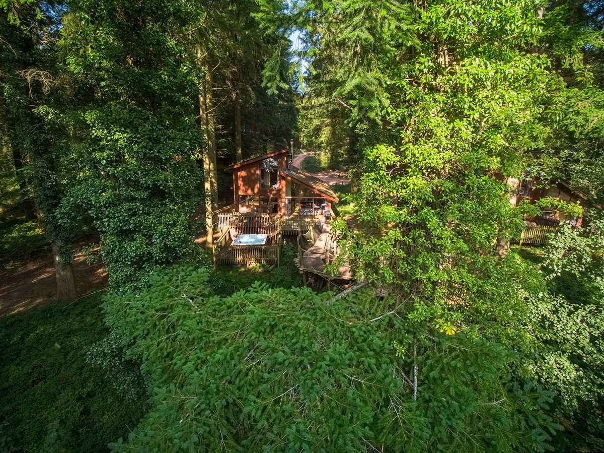Treehouse Breaks at Forest Holidays, Forest of Dean