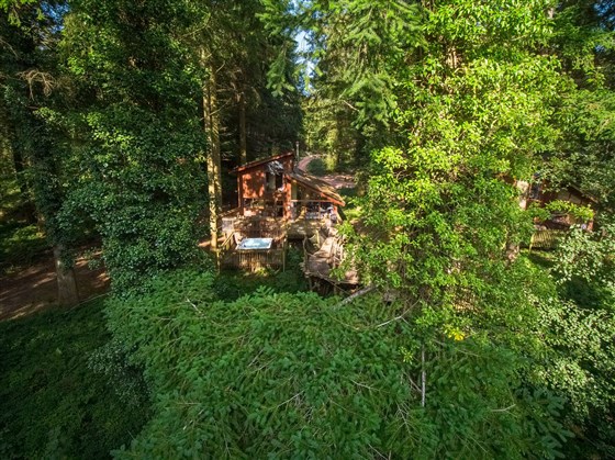 Treehouse Breaks at Forest Holidays, Forest of Dean
