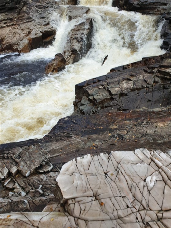 Falls 