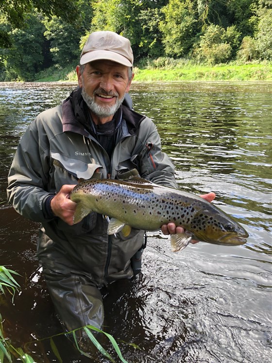 A specimen wild river brown trout caught on a streamer.