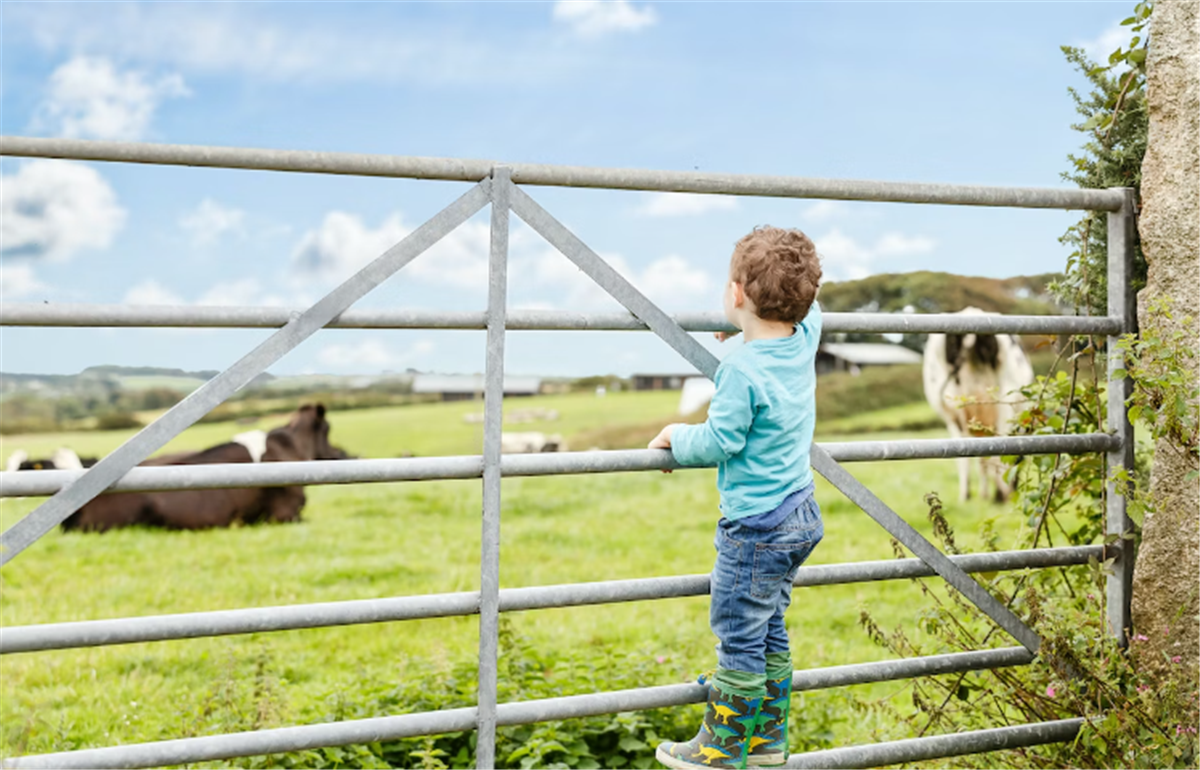 Farm activities