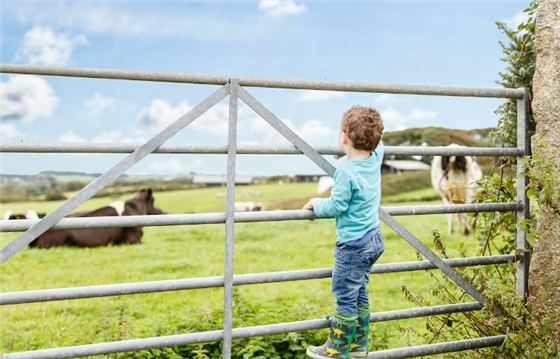 Farm activities