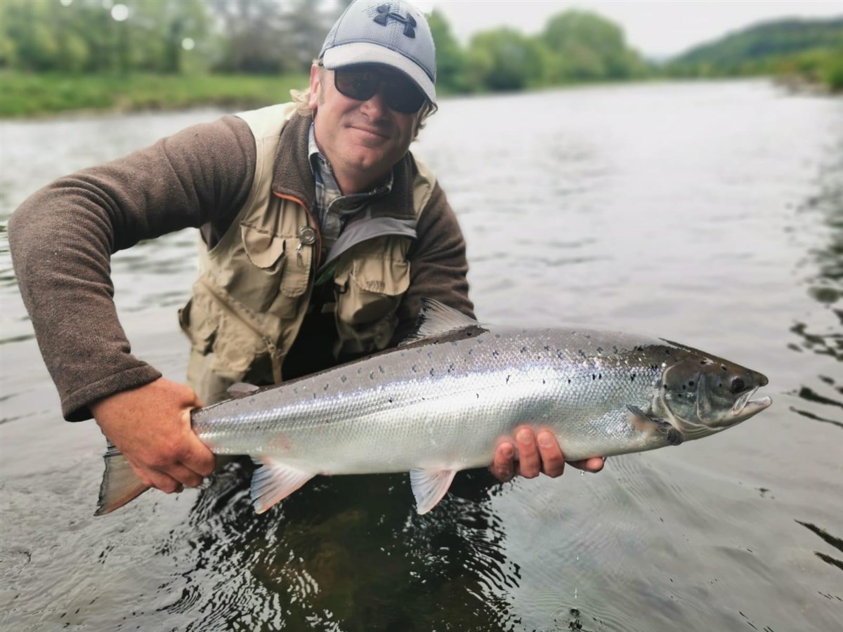 May springer from Lower Dips