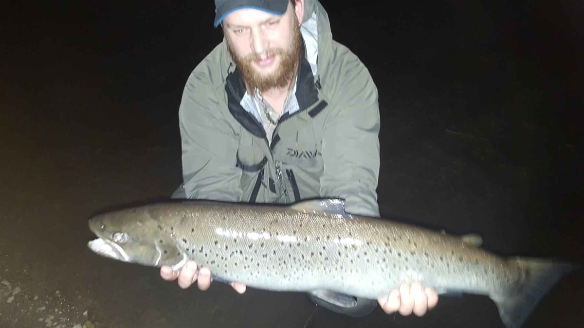 Huge sea trout!