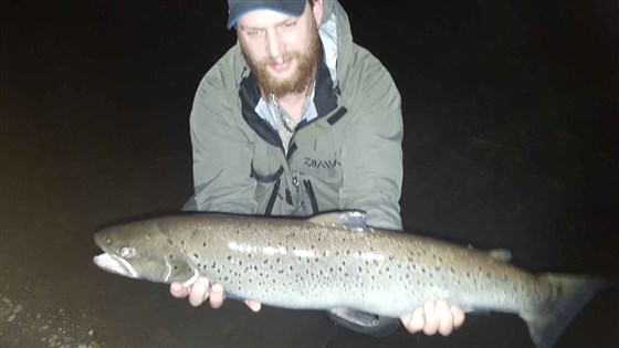 Huge sea trout!