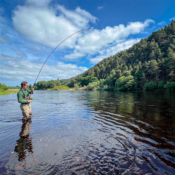 Rod bent in the grassy bank 