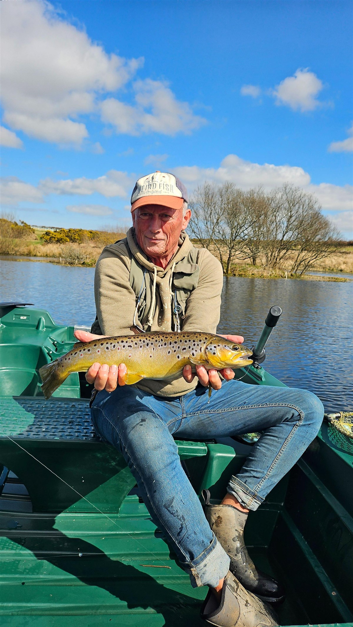 Stunning Brownie