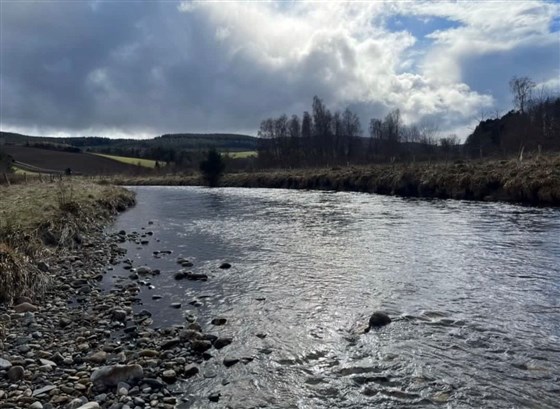 Semeil Farm