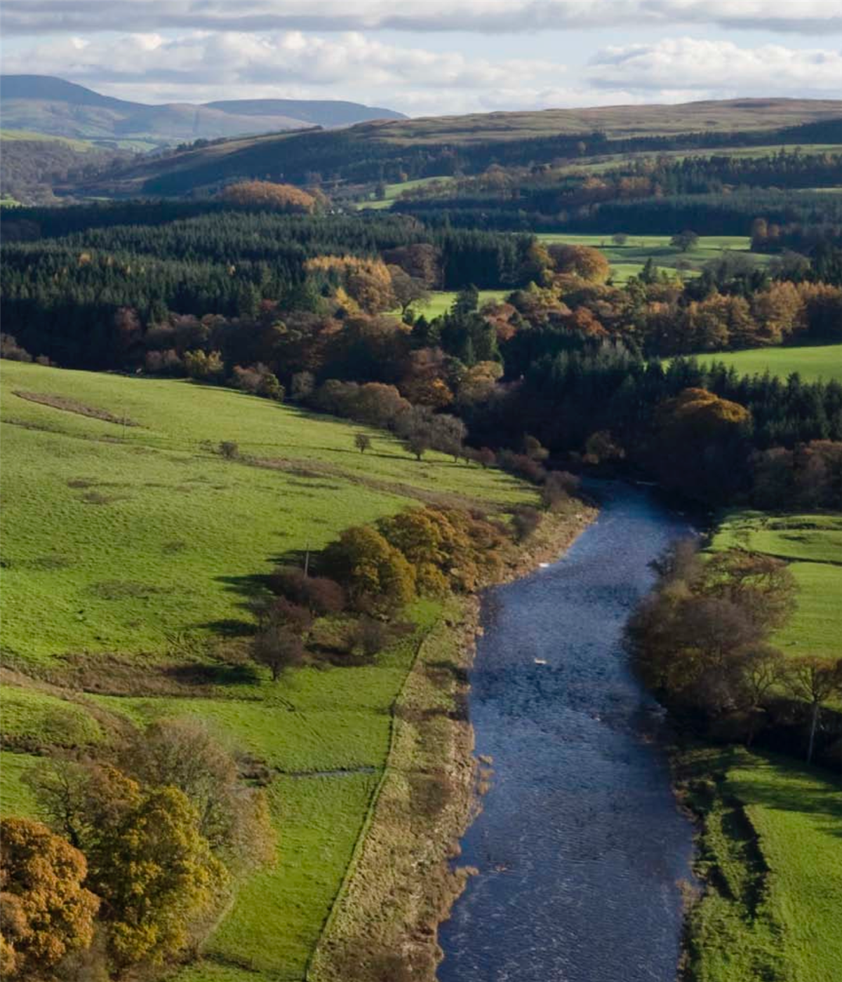 Ryehill Beat