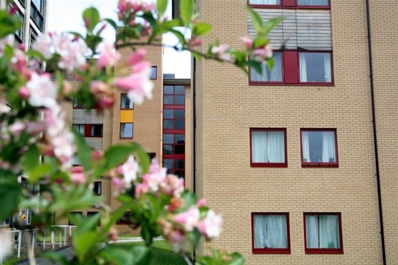 Caswell Residenzen