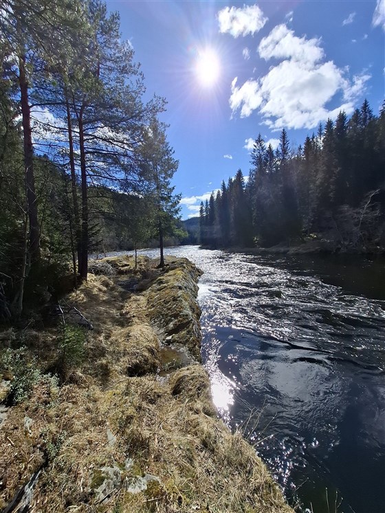 Ry laksefiske / Ry salmon fishing