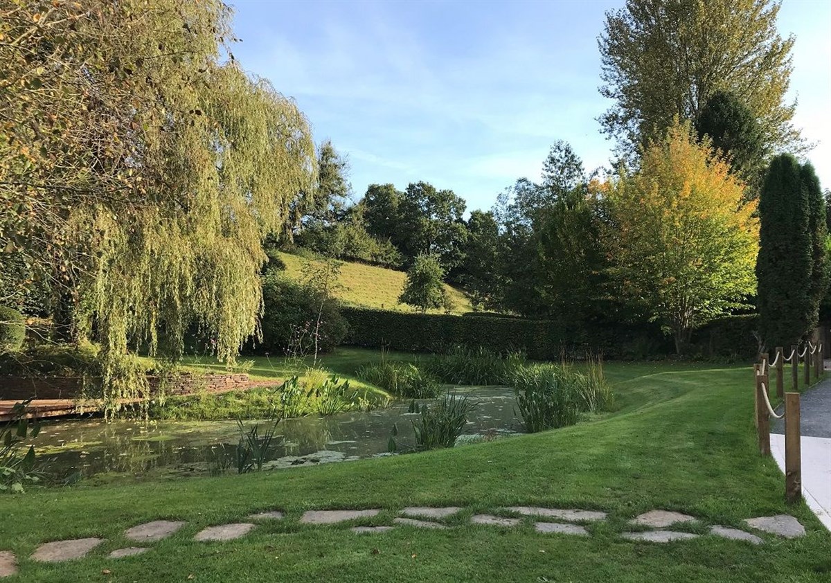 Pond and gardens