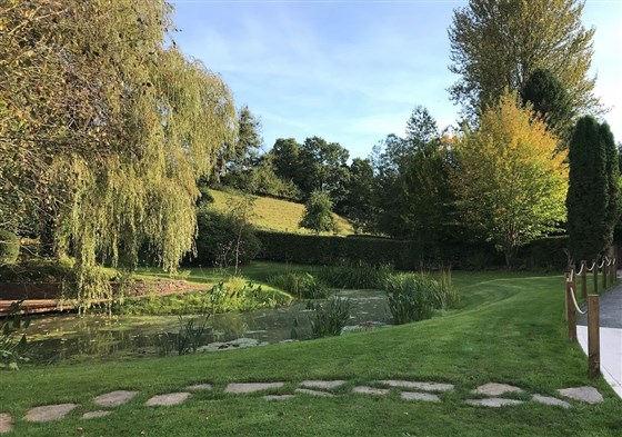 Pond and gardens