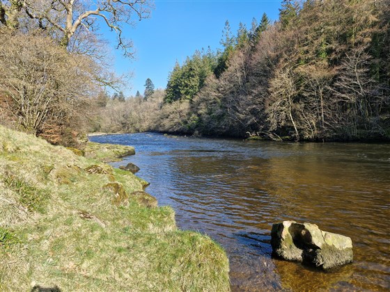Border Esk