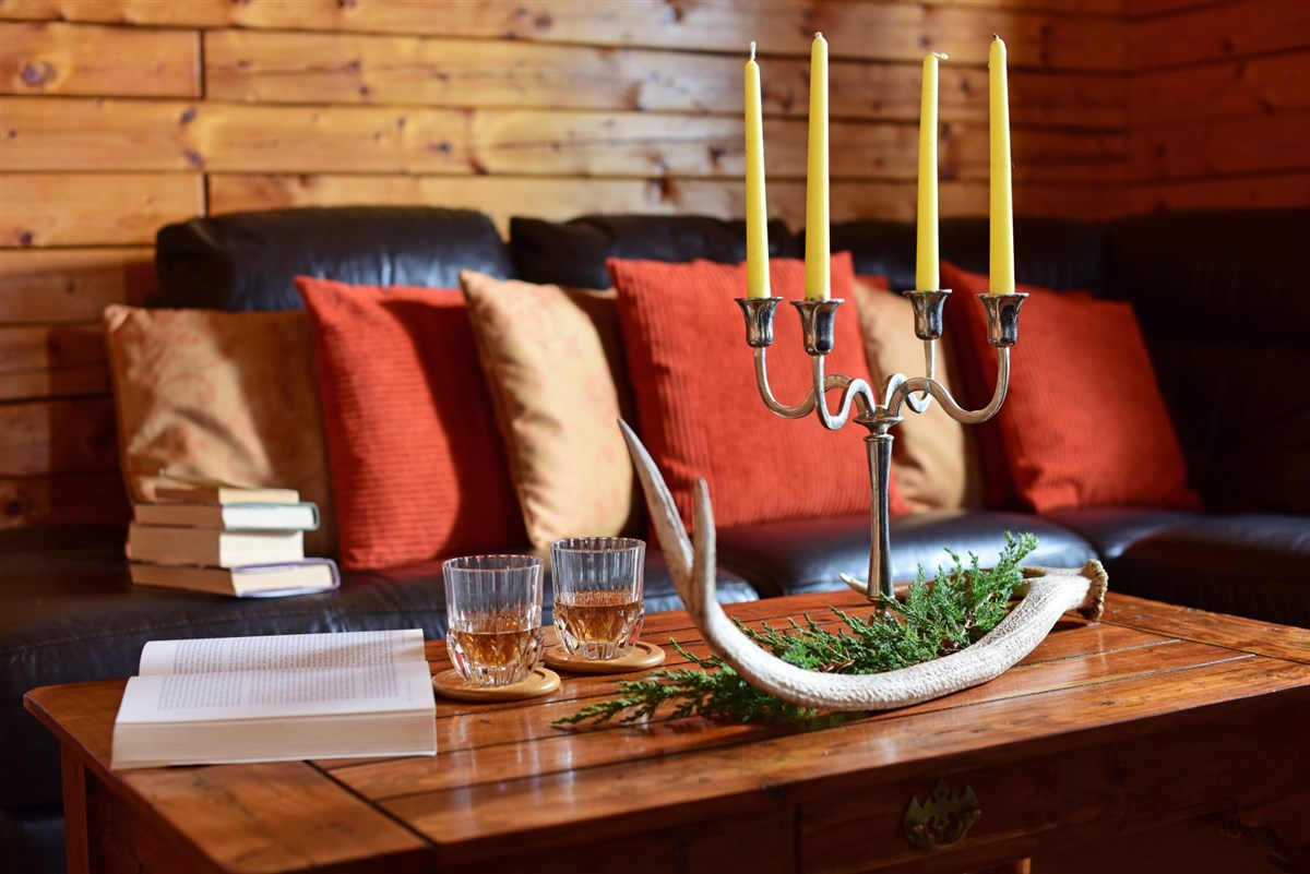 Log Cabin Lounge Area