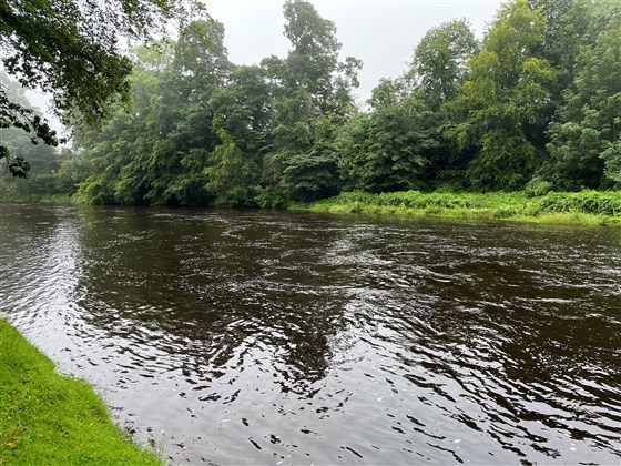The tail of the Mill Pool