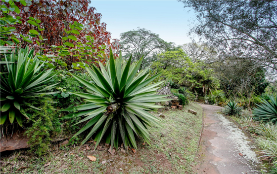 Tre Fontane Durban