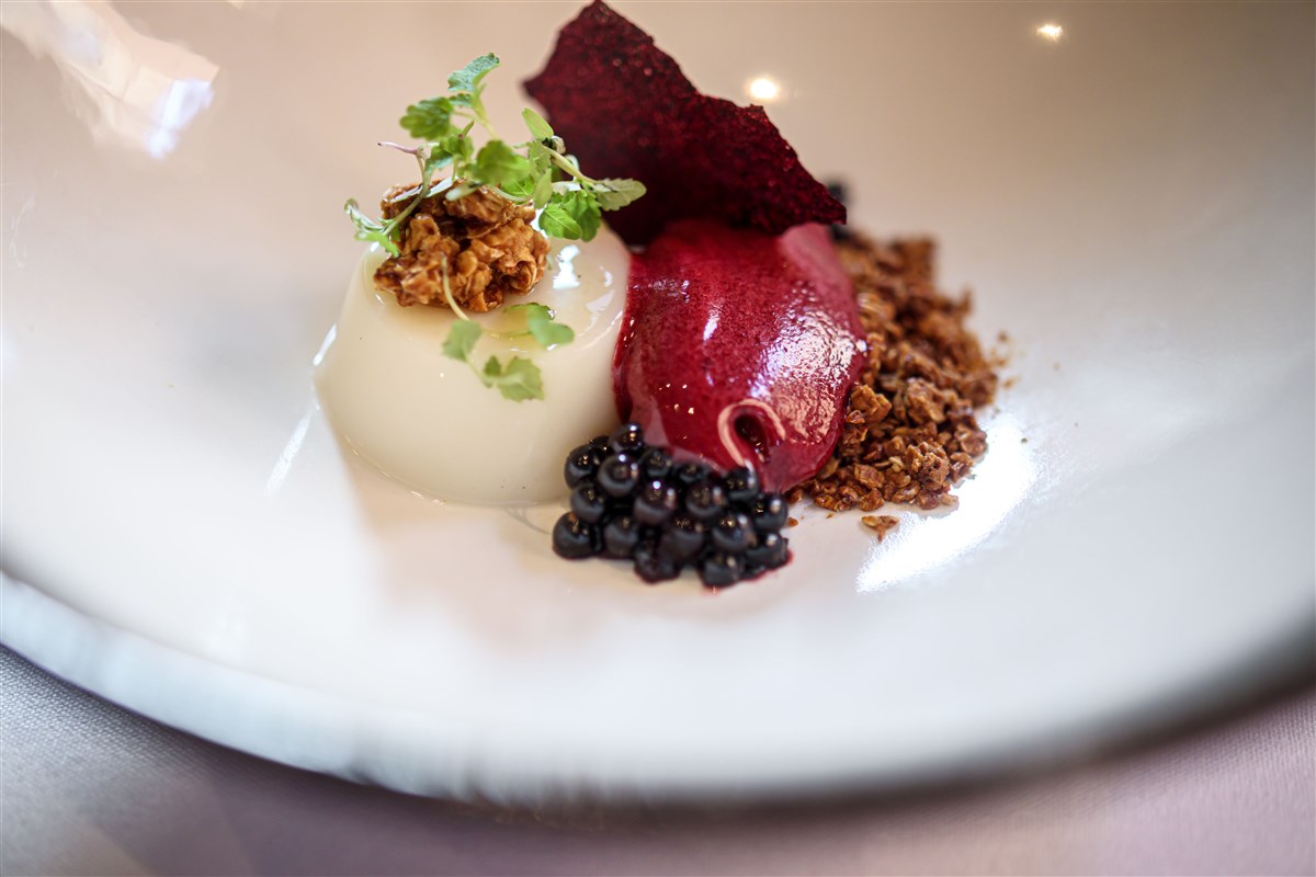 Brambles, Roasted Oats, Marigold, Oat Milk Panna Cotta