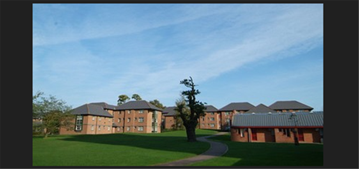 The Houses