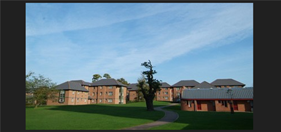 The Houses