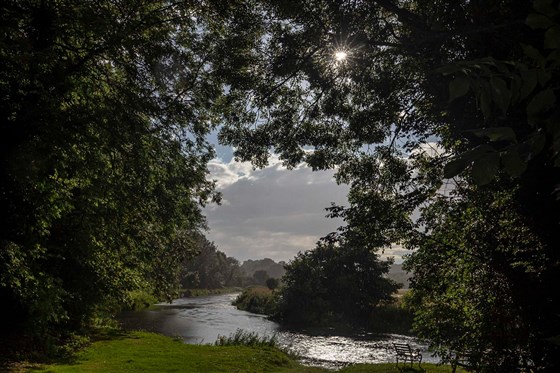 River in the Garden