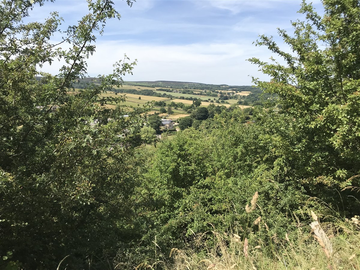 Bank View Farm nestling in the valley