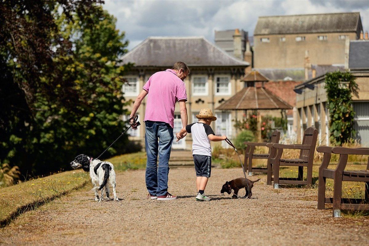 Dog Friendly Accommodation