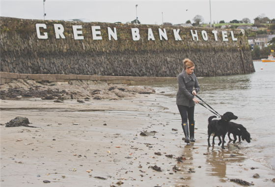 We are dog-friendly