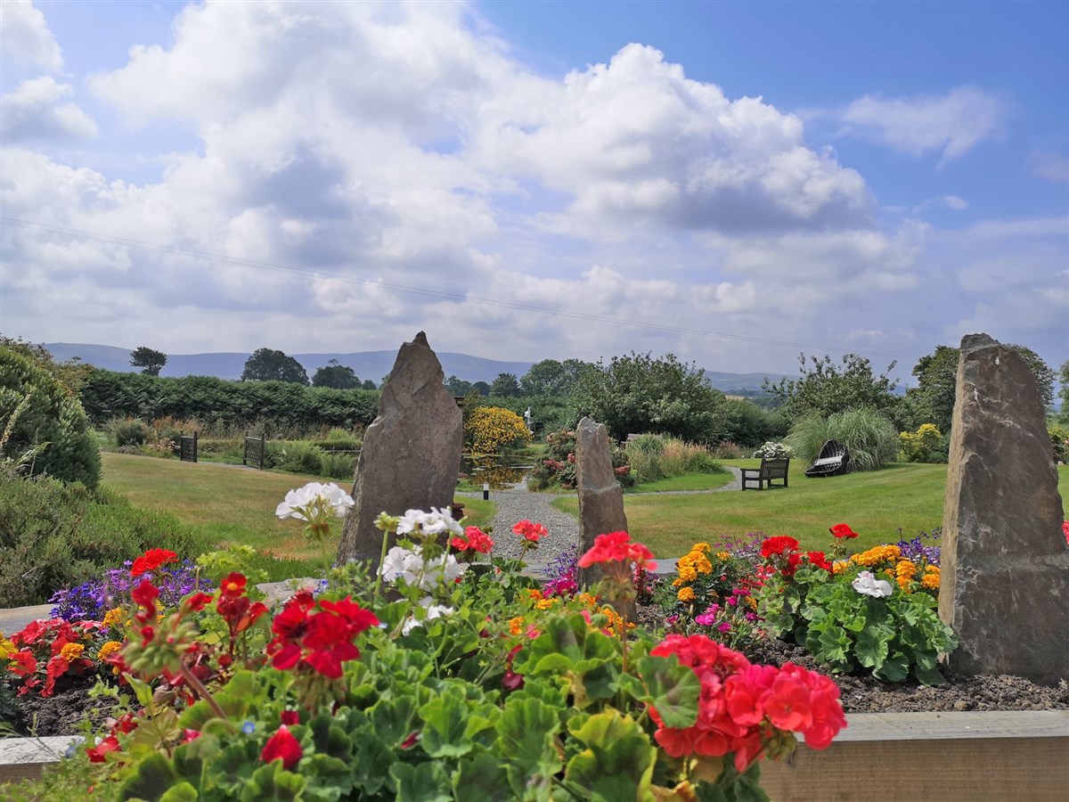 Preseli hills as seen across the pond and summer bedding plants