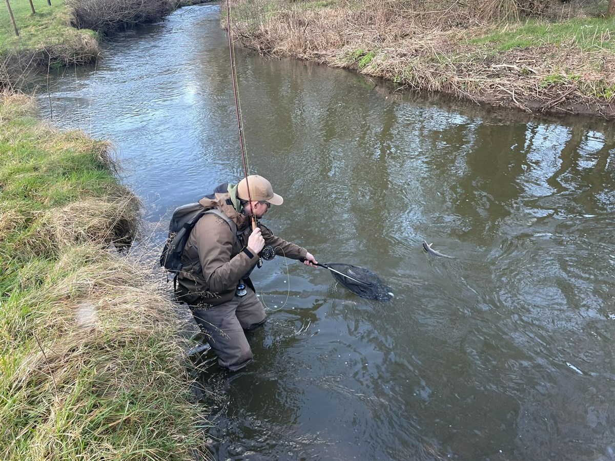 Netting fish