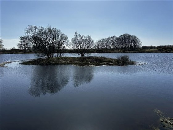 Bradley Pond