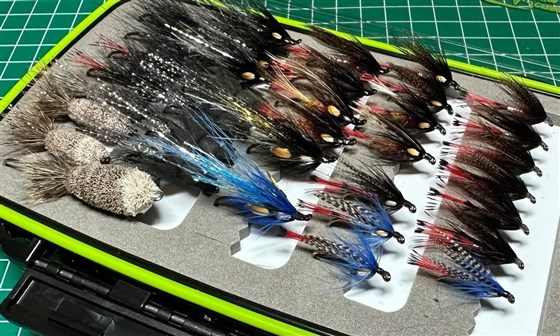 Sea Trout Night