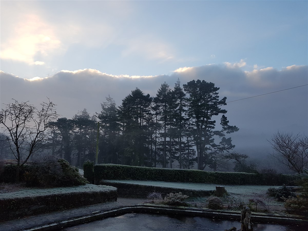Étangs et jardins la nuit