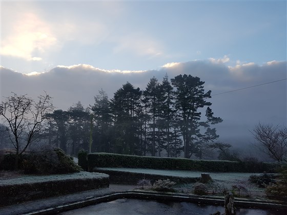 Étangs et jardins la nuit