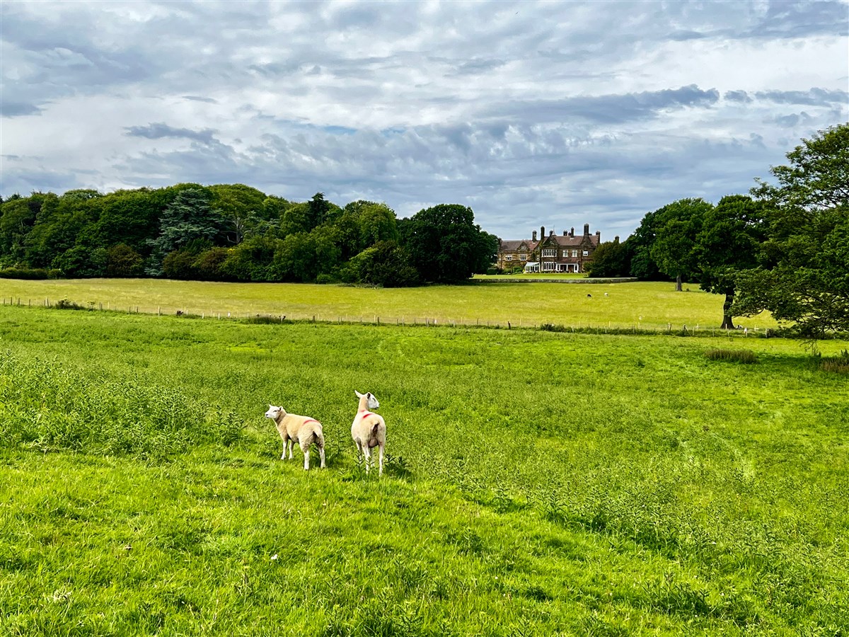 Wrea Head Hall 