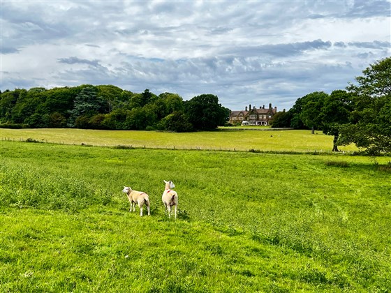 Wrea Head Hall 