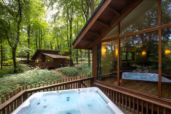 Forest Holidays, Blackwood Forest, Hampshire