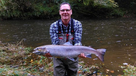 Hen Salmon