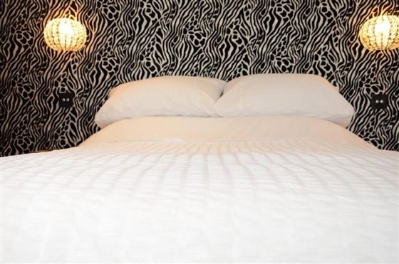 Cama