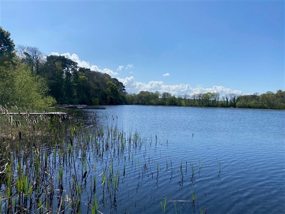 The Oaks Fishery